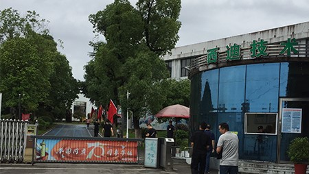 喜迎建黨百年 黨旗在西迪飄揚 喜迎建黨百年 黨旗在西迪飄揚