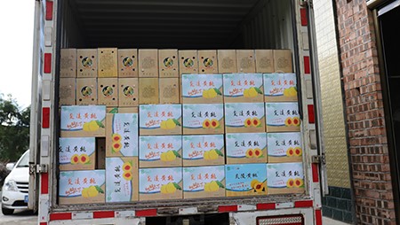 助銷黃桃社會扶貧,關愛員工送高溫福利 助銷黃桃社會扶貧,關愛員工送高溫福利